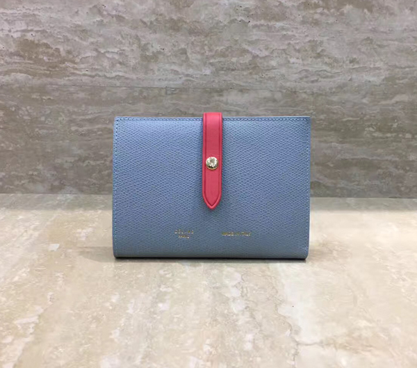 2017新作限定♪早い者勝ち M Wallet セリーヌコピー財布 クラウド